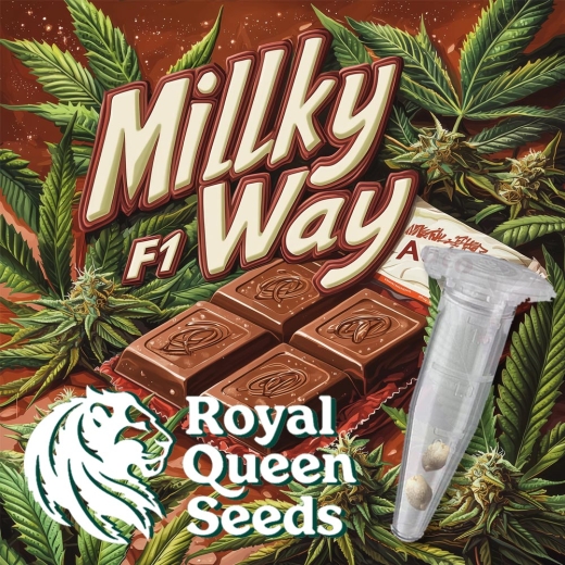 Milky Way F1 Auto (Autoflower)